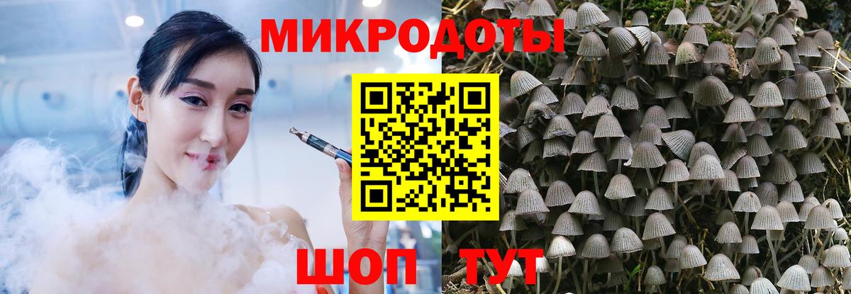 Псилоцибиновые грибы мухоморы Ревда