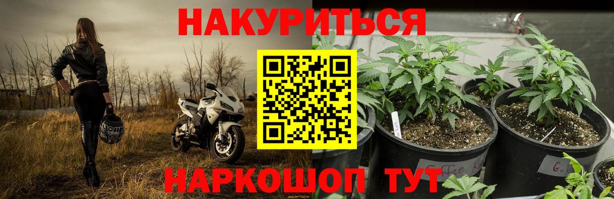 Ревда  Каннабис индика  Вход с VPN  Бошки Шишки SATIVA & INDICA 
